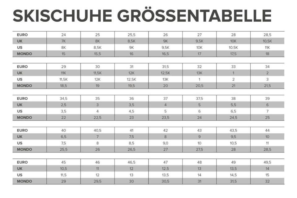 Dalbello Visio Gr. 25.5 / EU 40 Skischuh Skischuhe Skistestiefel in Amt Neuhaus