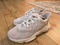 Adidas Ozweego 40 .5 unisex Neu Nordrhein-Westfalen - Düren Vorschau