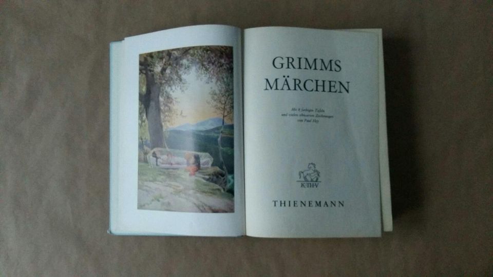 DIE SCHÖNSTEN KINDERMÄRCHEN DER BRÜDER GRIMM  Buch alt Sammler in Weil am Rhein