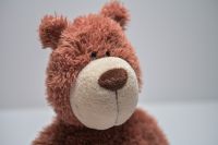 Nici Teddy Bär Plüschtiere Stofftiere Sammler Bear Spielzeug TOP Baden-Württemberg - Orsingen-Nenzingen Vorschau