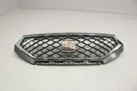 Seat Tarraco Kühlergrill 5FJ853654 Frontgrill Chromgrill original Niedersachsen - Gifhorn Vorschau