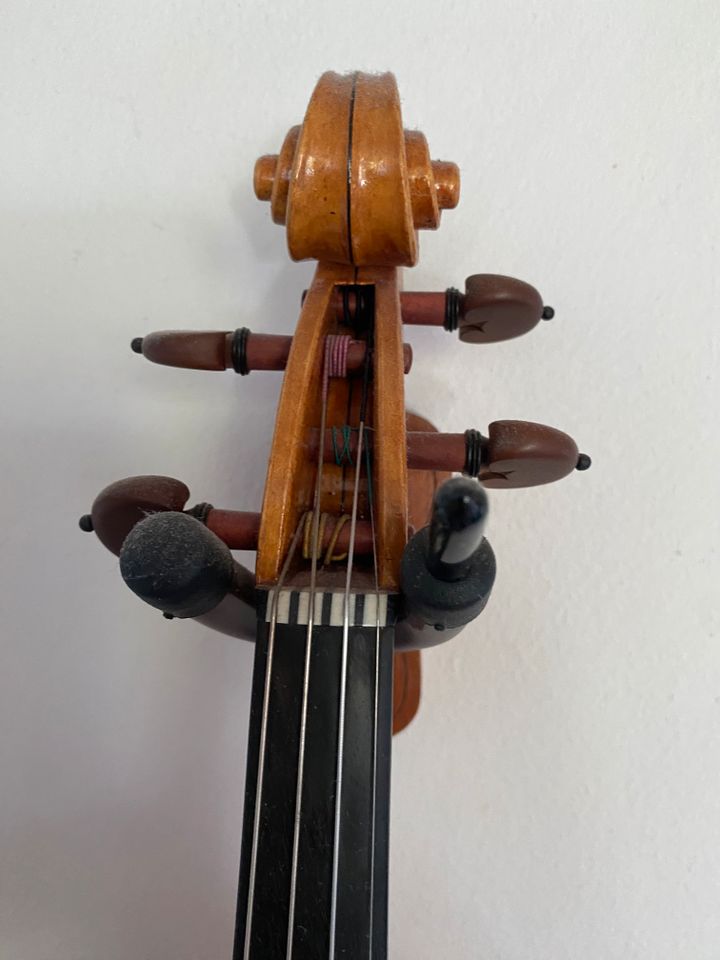 Geige,   Violine 4/4 Aus Workshop Gyb Violins, in Olsberg