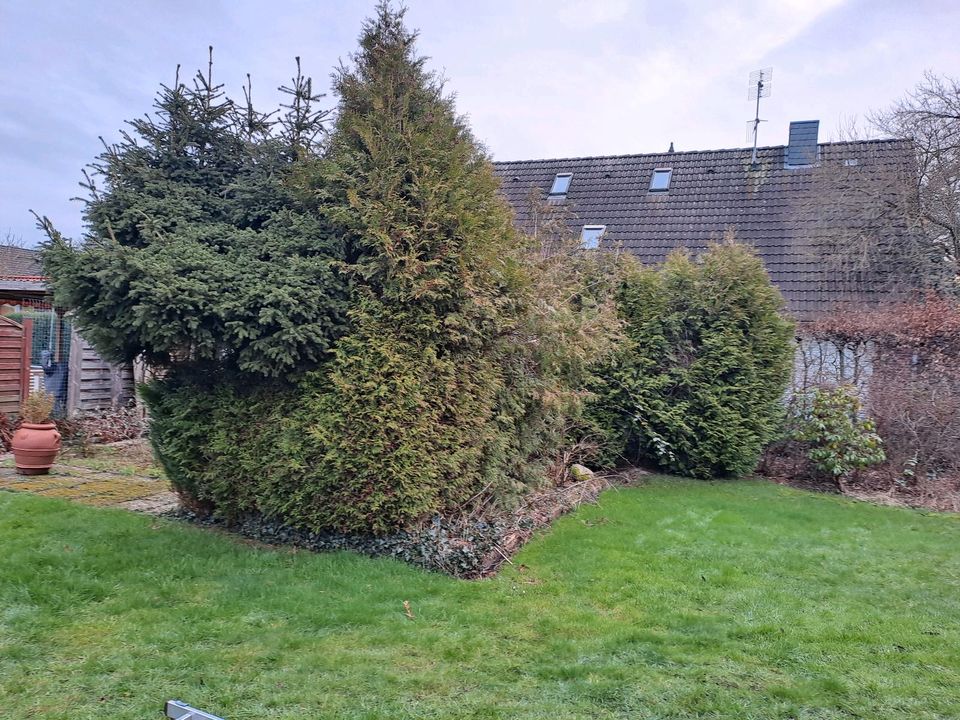 Garten,- Bau und Service in Nordholz