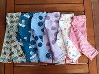 Baby Leggins Gr. 62 Bio Jersey - NEU Baden-Württemberg - Tübingen Vorschau