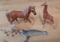 2 Schleich Pferde, Seerobbe und Giraffe im Set Bayern - Untermerzbach Vorschau