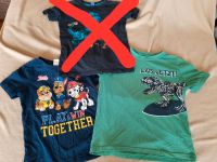 T-Shirts 128 Dino Paw Patrol Hamburg - Bergedorf Vorschau