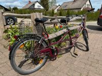 Tandem Fahrrad 5 Gänge Baden-Württemberg - Freudenstadt Vorschau