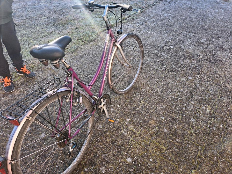 fahrrad respect bauer 28 Zoll in Eisenhüttenstadt