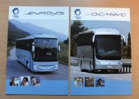 Autoprospekte Bus: Irisbus Evadys & Domino 2006 Deutsch Bayern - Oberammergau Vorschau