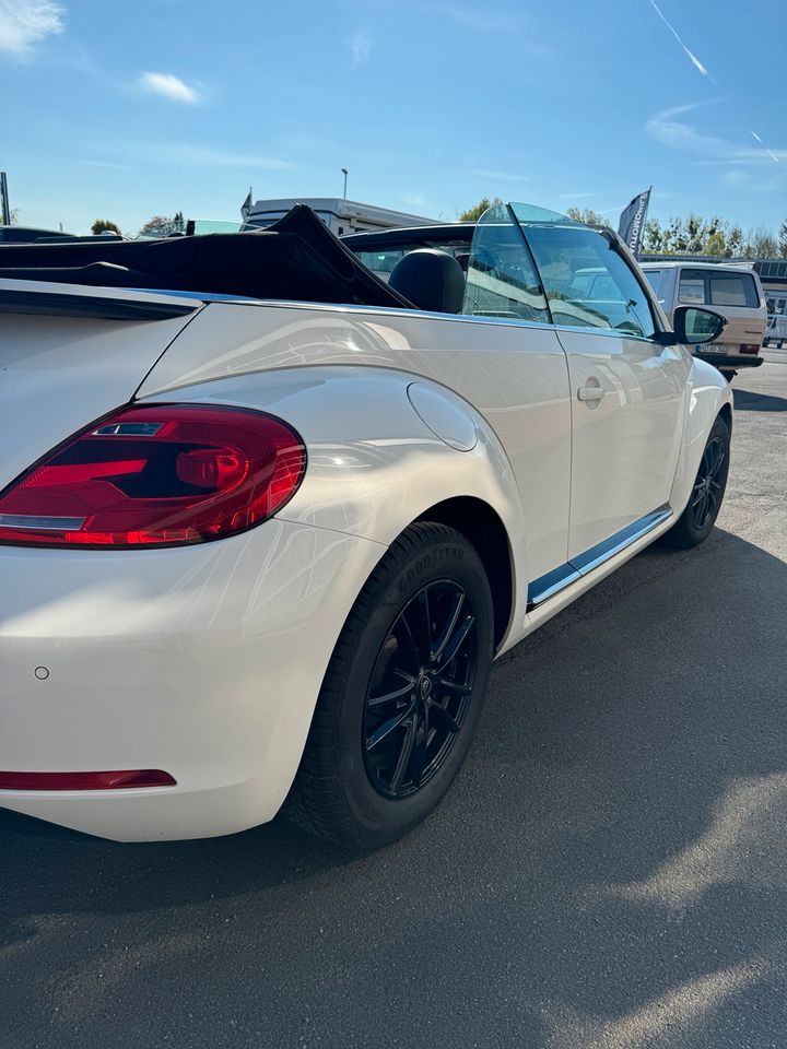 Volkswagen Beetle Cabrio 60s Edition in Nordstemmen