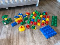 Lego Duplo Primo 49 Teile Nordrhein-Westfalen - Sendenhorst Vorschau