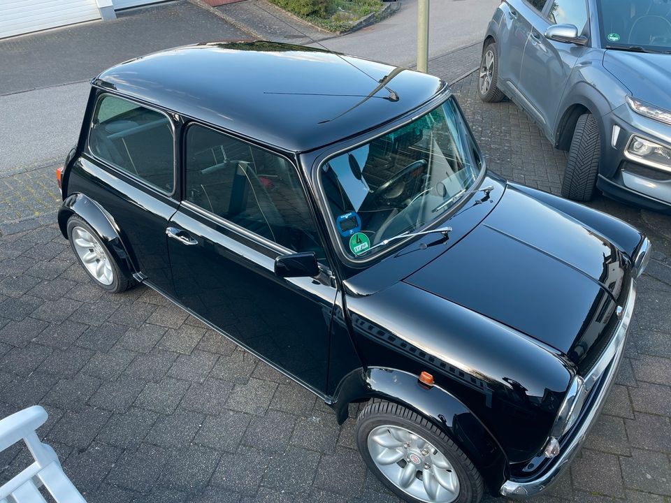 Rover Mini 40th in Kürten