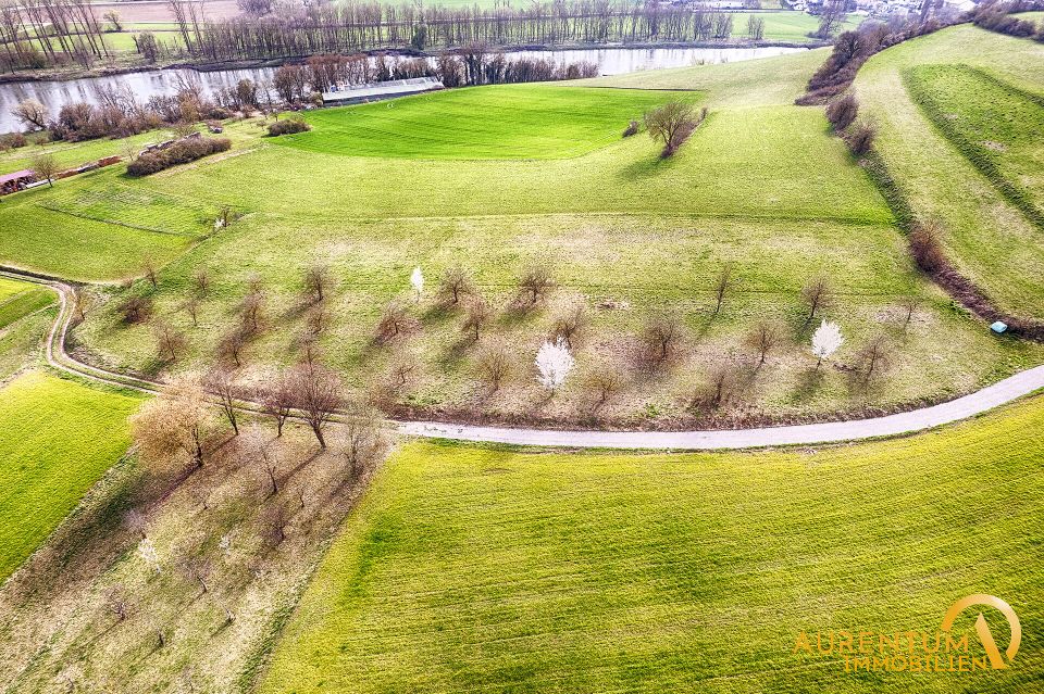 Ein besonderes Grundstück - Streuobstwiese / Landwirtschaftsfläche in traumhafter Lage! in Kelheim