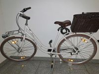 Pegasus Damen Fahrrad mit 2 Fahrradkörben Rheinland-Pfalz - Bingen Vorschau