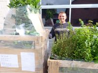 Heckenpflanzen & Gartenpflanzen günstig aus der Versandbaumschule Rheinland-Pfalz - Bad Kreuznach Vorschau