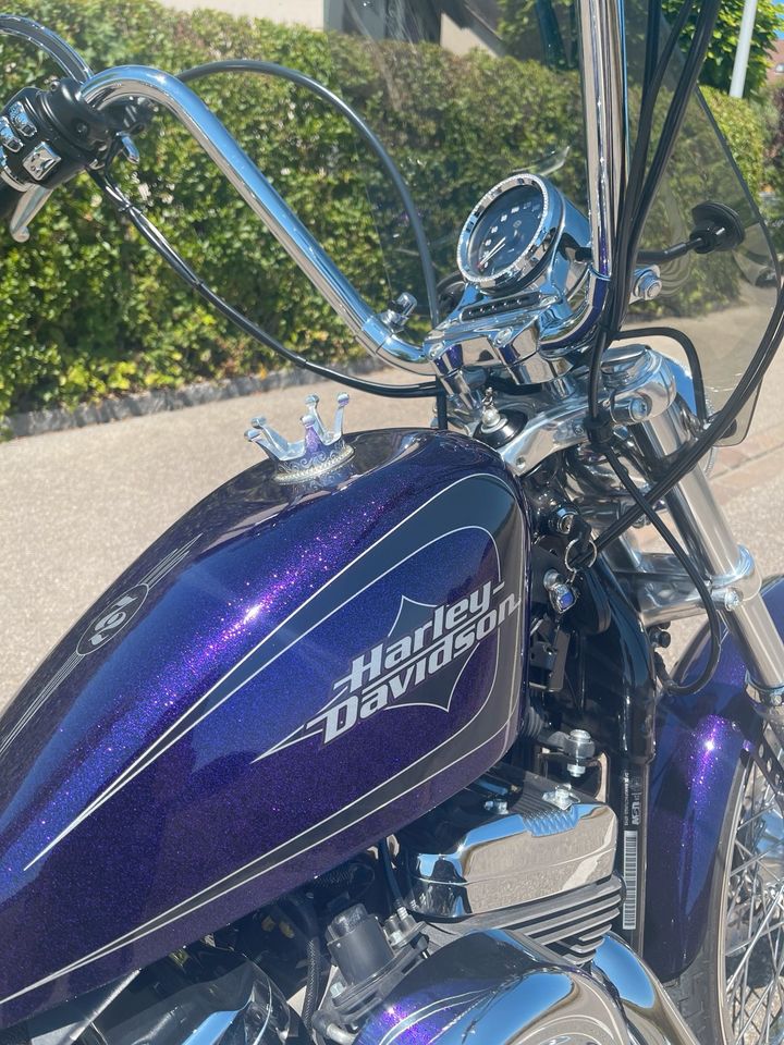 Harley-Davidson Sportster 72 - 1200 - Violet in Lottstetten