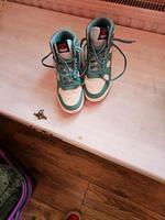 Superdry sneaker Nordrhein-Westfalen - Swisttal Vorschau