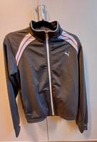 Damen Trainingsjacke Puma Größe M Nordrhein-Westfalen - Gladbeck Vorschau