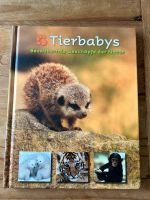 Buch „Tierbabys“ Nordrhein-Westfalen - Lindlar Vorschau