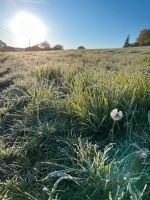 Bauernhaus gesucht zur Miete mit Platz für Tiere und Garten Nordrhein-Westfalen - Hückelhoven Vorschau