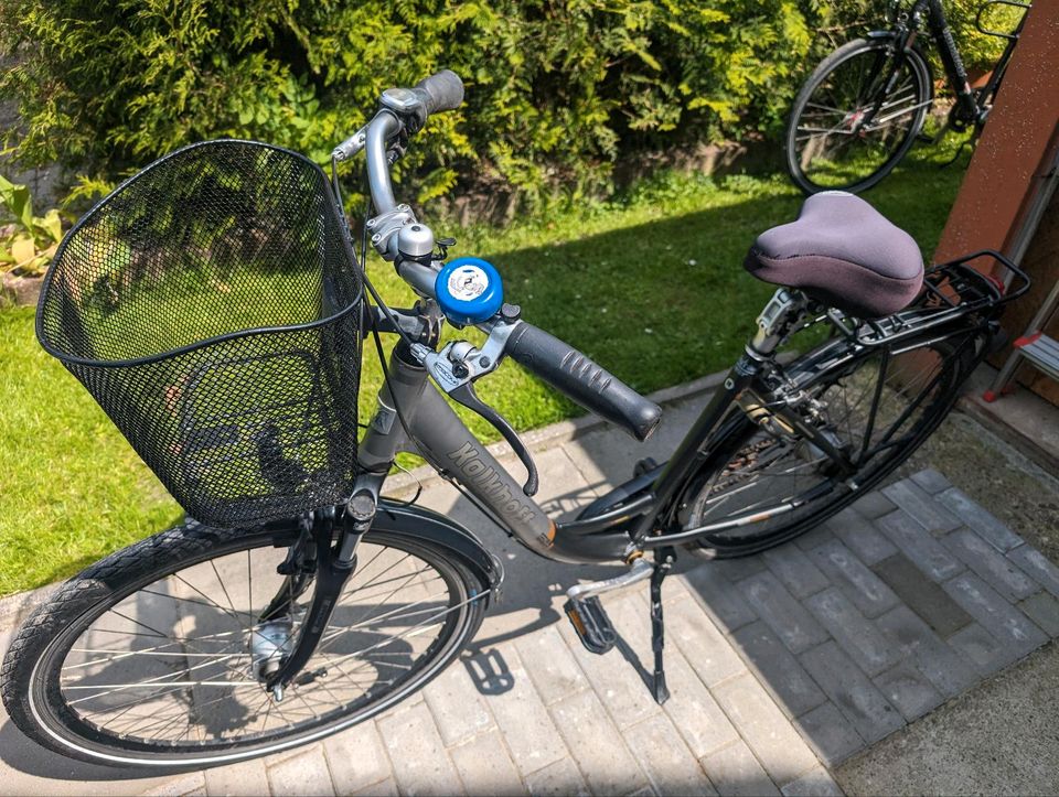 Fahrrad Kalkhoff Damenrad in Emden