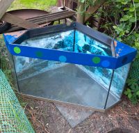 Aquarium/Terrarium groß  Gr.70×70×70×50 cm ohne Abdeckung/Zubehör Nordrhein-Westfalen - Drensteinfurt Vorschau