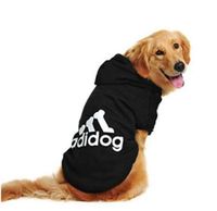 Adidog Sport Hoodie für Hunde - Perfekt für Frische Morgen- und A Bayern - Schwandorf Vorschau