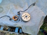 Yamaha dt 125r 4bl Lichtmaschine Stator Polarrad Mecklenburg-Vorpommern - Wrodow Vorschau