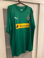 Borussia Mönchengladbach Trikot, XXL , NEU Hessen - Kiedrich Vorschau