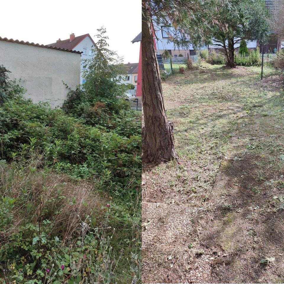 Gartenarbeiten Hecken schneiden vertikutieren Rasenmähen Gärtner in Beckingen