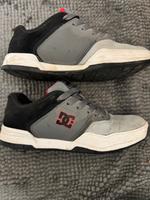 DC Schuhe Größe 42 Thüringen - Ilmenau Vorschau