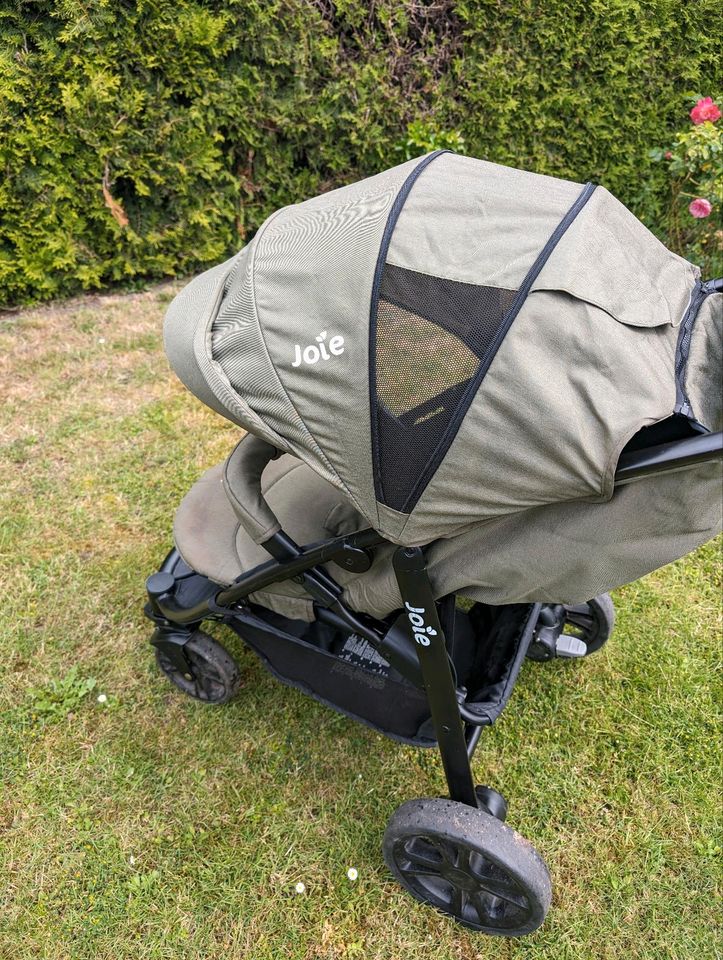 Joie Buggy Sportwagen Grün Khaki in Delmenhorst