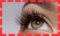 Wimpernlifting (Lashlifting) + Augenbrauenlifting + Färben Hannover - Herrenhausen-Stöcken Vorschau