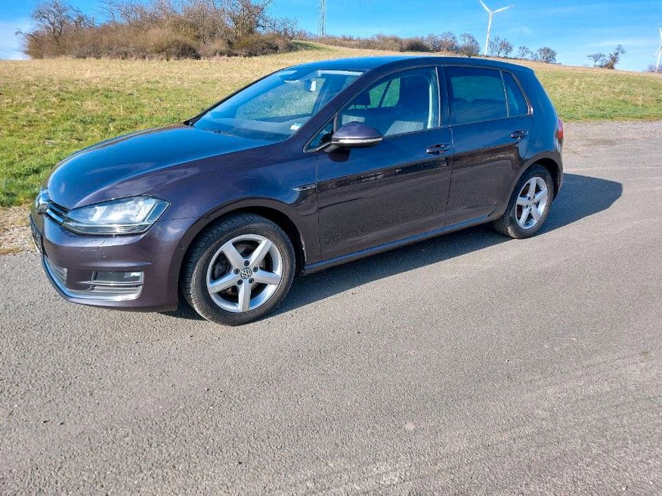 VW Golf VII Lounge 1.4 TSI **ACC**Standheizung**Xenon** in Aßlar