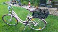 Pegasus Bici Italia 28 Zoll Niedersachsen - Papenburg Vorschau