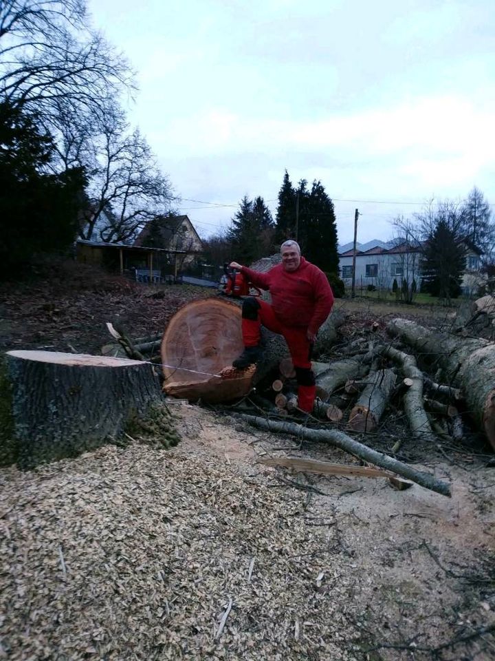 Baumfällungen, Beseitigung von Sturmschäden in Spiesen-Elversberg