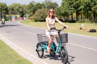 Swing Mini Dreirad E-Bike Senioren Lastenrad Cargo Lastenfahrrad Nordrhein-Westfalen - Emmerich am Rhein Vorschau