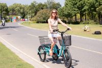 Swing Mini Dreirad E-Bike Senioren Lastenrad Cargo Lastenfahrrad Nordrhein-Westfalen - Emmerich am Rhein Vorschau