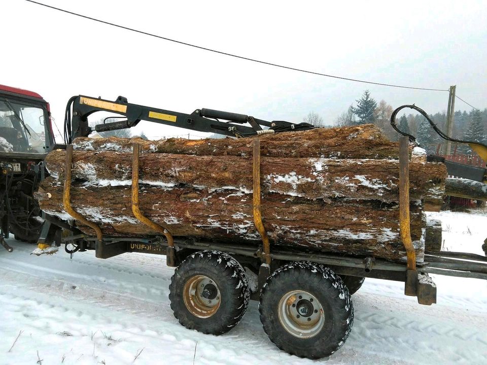 Lohnschnitt mit Sägewerk LT 70 von Wood-Mizer (nicht mobil) in Brockau