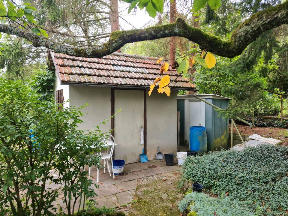 #10 Garten Hütte Obstbaum Camping Grillplatz Gartenhaus Freizeitgrundstück in Benningen