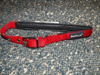 Petface - Hundehalsband Nylon - rot Gr. L - gepolstert - neu! Baden-Württemberg - Buchen (Odenwald) Vorschau