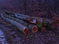 Stammholz Polterholz Brennholz Buche Baden-Württemberg - Aalen Vorschau