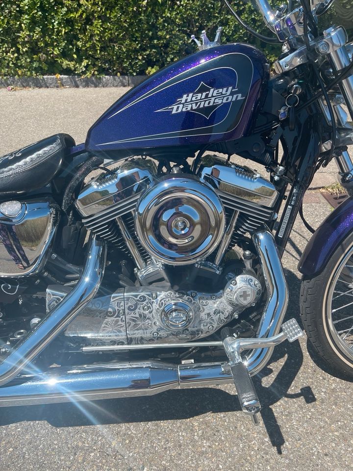 Harley-Davidson Sportster 72 - 1200 - Violet in Lottstetten