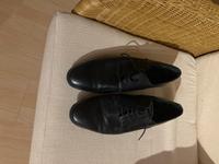 Herren Schuhe und Stiefeletten Gr.42 Zara man Nordrhein-Westfalen - Niederkassel Vorschau