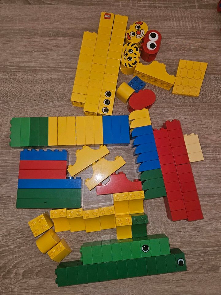 Lego Duplo Set mit Platten in Pinneberg