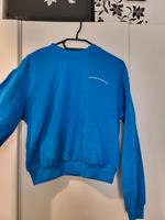 blauer Pullover Sachsen-Anhalt - Halle Vorschau