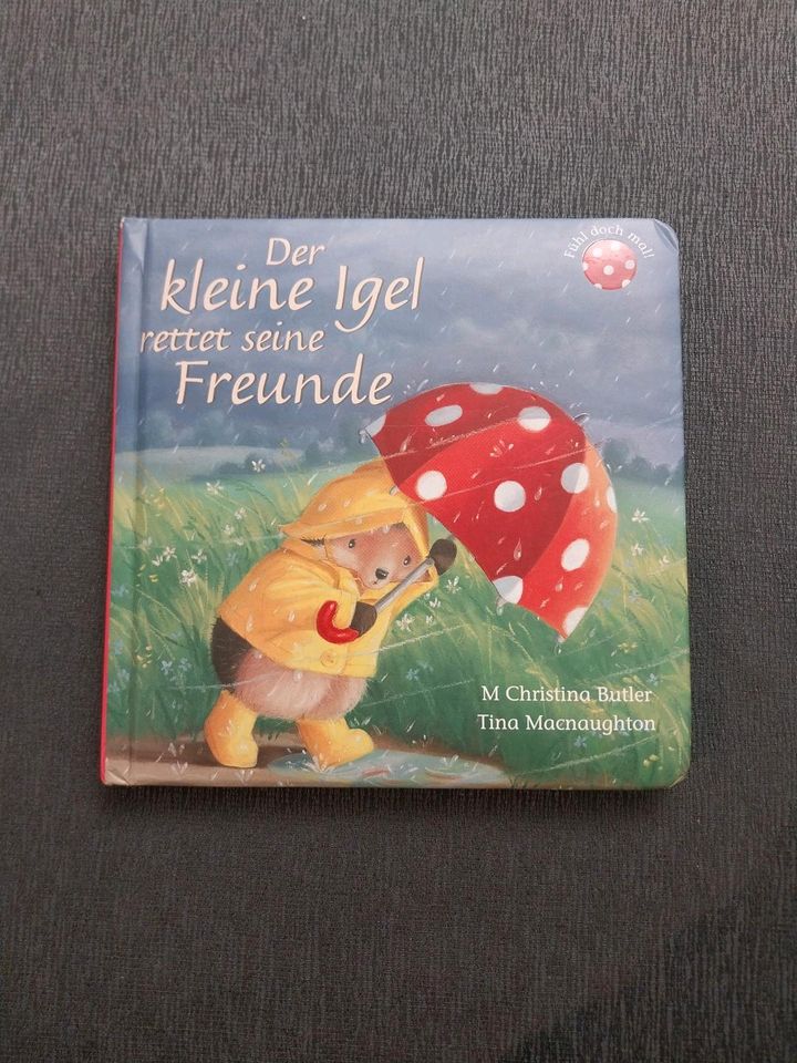 Bücher "Der kleine Igel" in Erwitte