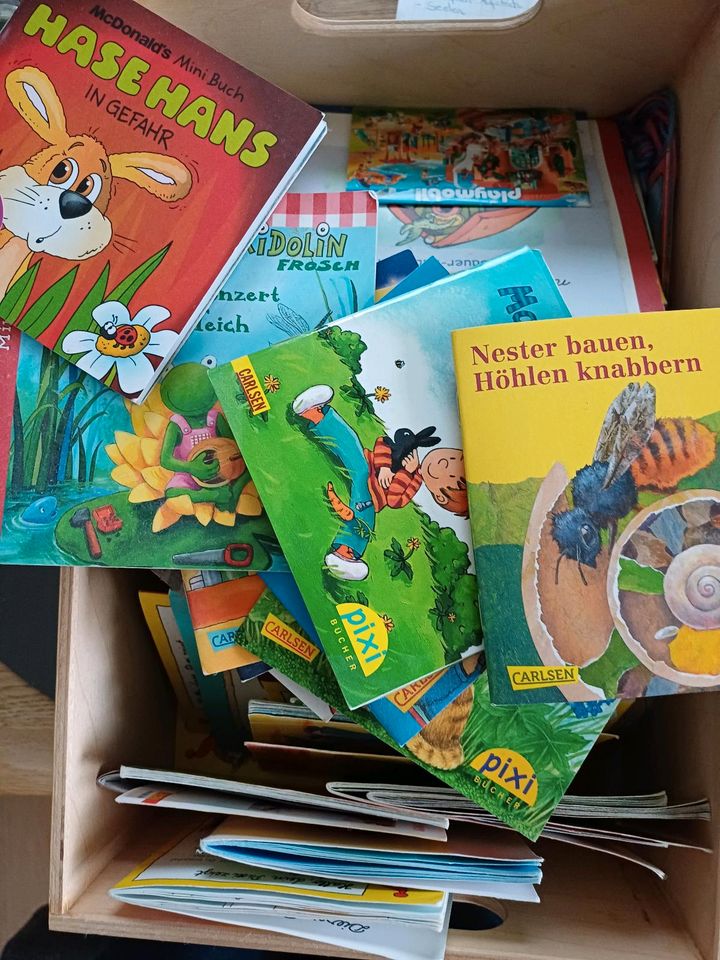 Kinderbücher Pixi Bücher in Dettingen an der Iller