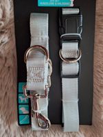 NEU Set Hundeleine mit Halsband  Gr: L  bis 50 kg  grau Bayern - Aham Vorschau