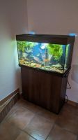 Juwel RIO 125 L + Unterschrank | Aquarium Sachsen-Anhalt - Hansestadt Seehausen Vorschau